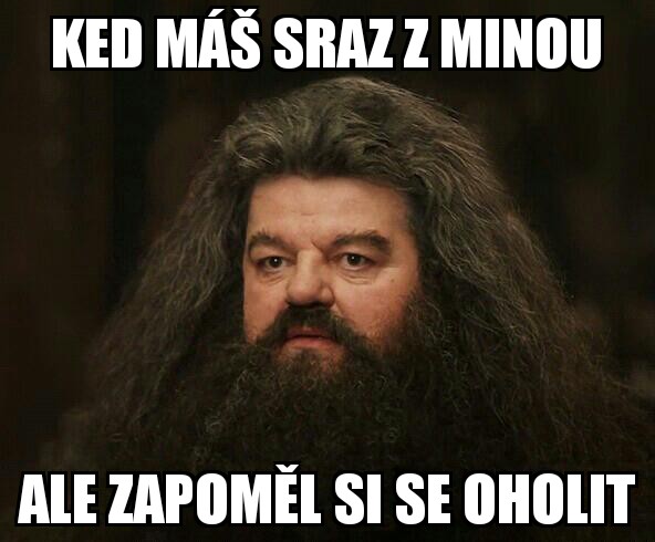 Shouldnt Have Said That Hagrid 17122018144054