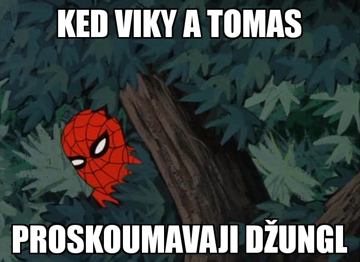 Spider-man Hiding 17122018143948